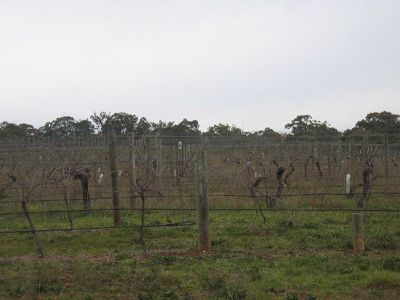 CA 8 PEDDERSON STREET, Heathcote