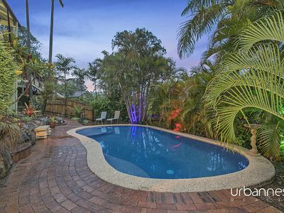 13 Larwood Place, Ferny Hills