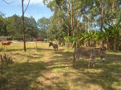 709 Kaban Road, Kaban