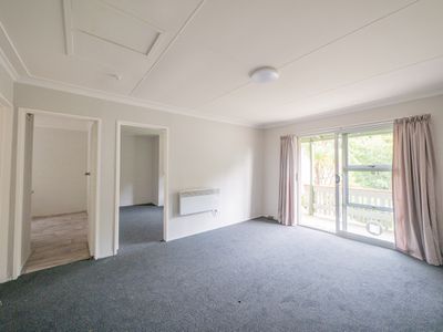 12 / 19 William Street, Dunedin Central