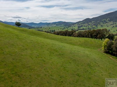 275 Soldier Settlers Road, Tallangatta Valley