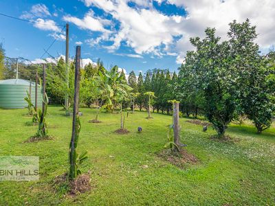 776 Green Pigeon Road, Green Pigeon, via, Kyogle