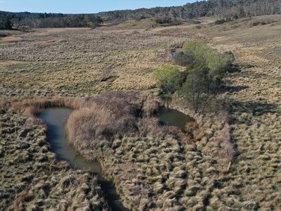 464 Cookanulla Road, Braidwood