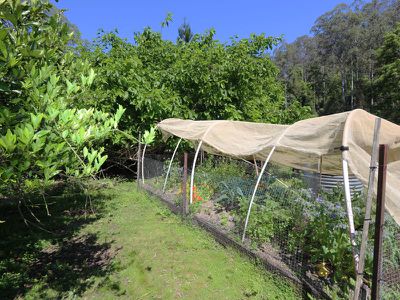 Lot 5, 115 Gonpa Road, Kyogle