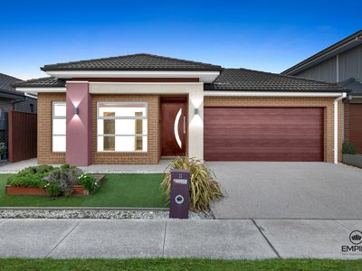 11 Pygoraa Way, Clyde North