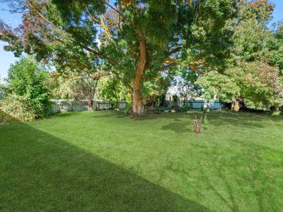 55 Kilmore Road, Argyle
