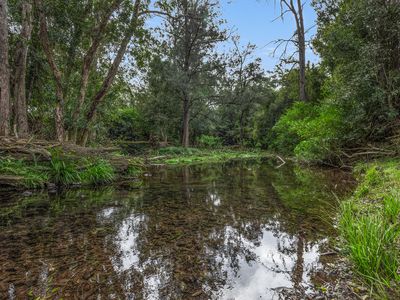 89 McMillans Road, Ellenborough