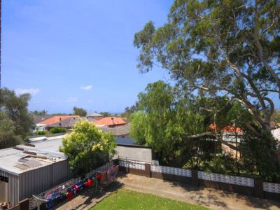 253 Haldon Street, Lakemba
