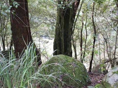 Lot 322 / 3 Lot 322/3 Upper Kangaroo River Road, Kangaroo Valley