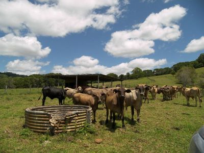 349 Goonengerry Road, Goonengerry