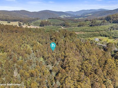 Lot 1, Huon Highway, Glendevie