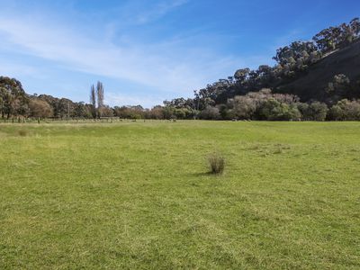 Lot 38, Sawpit Gully Road, Bridge Creek