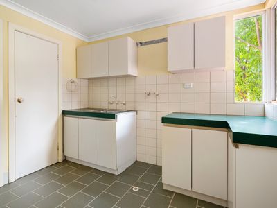 66 Lewis Street, Lamington