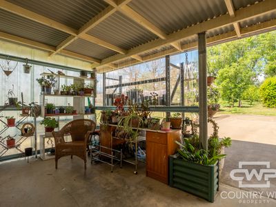 20 Carlisle Close, Glen Innes