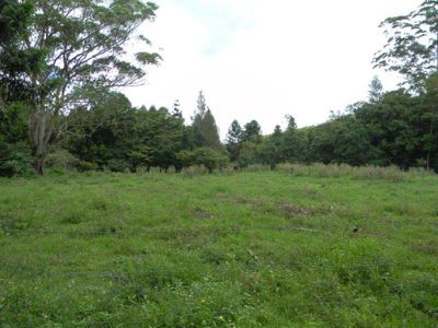Maleny