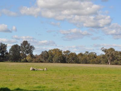 . Soldiers Road, Barnawartha