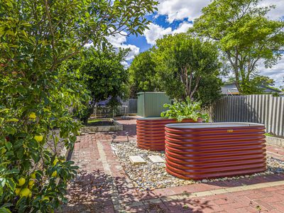 26 Shannon Road, Dianella