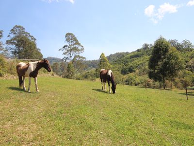 1085 Pappinbarra Road, Lower Pappinbarra