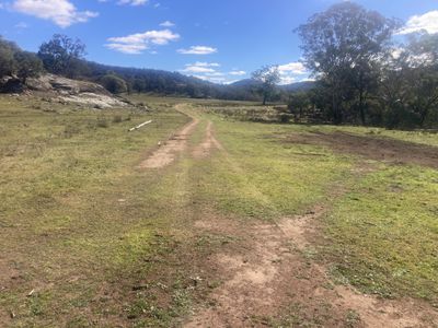 1950 FLAGGS ROAD, Gungal