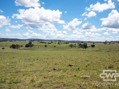 387 Shannon Vale Road, Shannon Vale