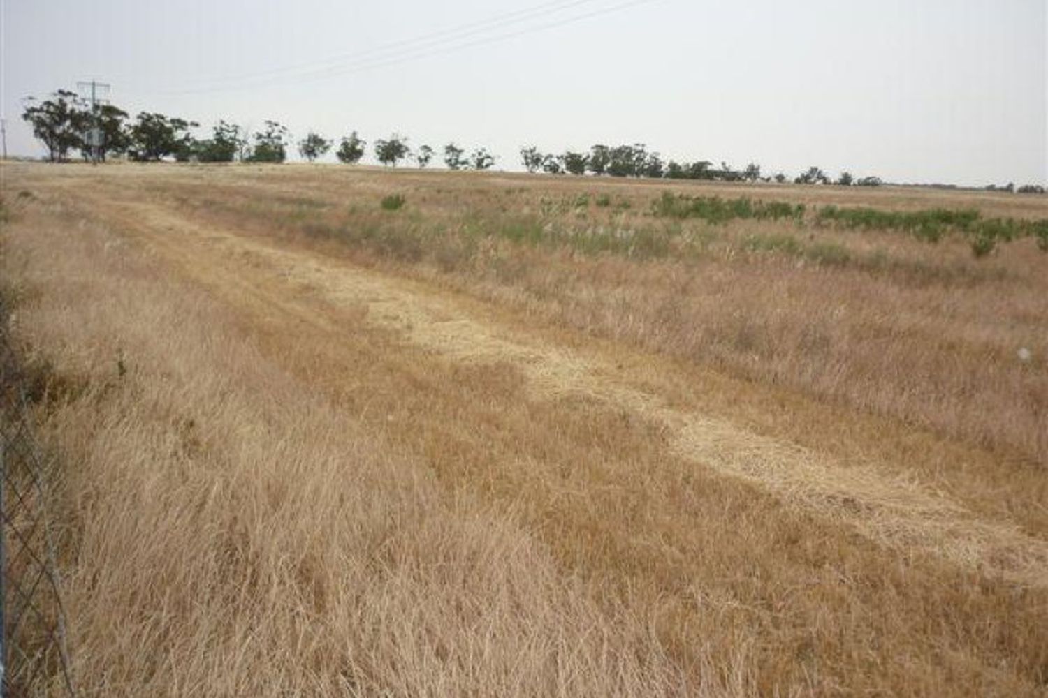 3341  Borung Highway, Donald