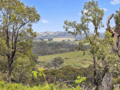 110 Bassett Lane, Hilldene