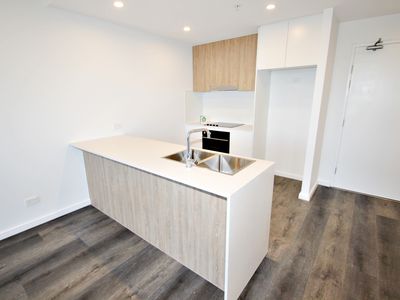 1103 / 11 RAPHAEL STREET, Lidcombe