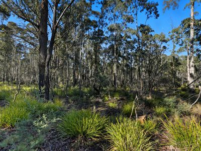 123 Lake View Road, Lake Leake