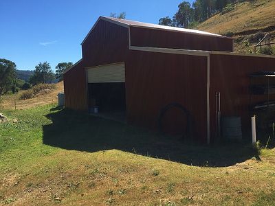 Running Springs - 447 Little Snowy Creek Rd, Eskdale