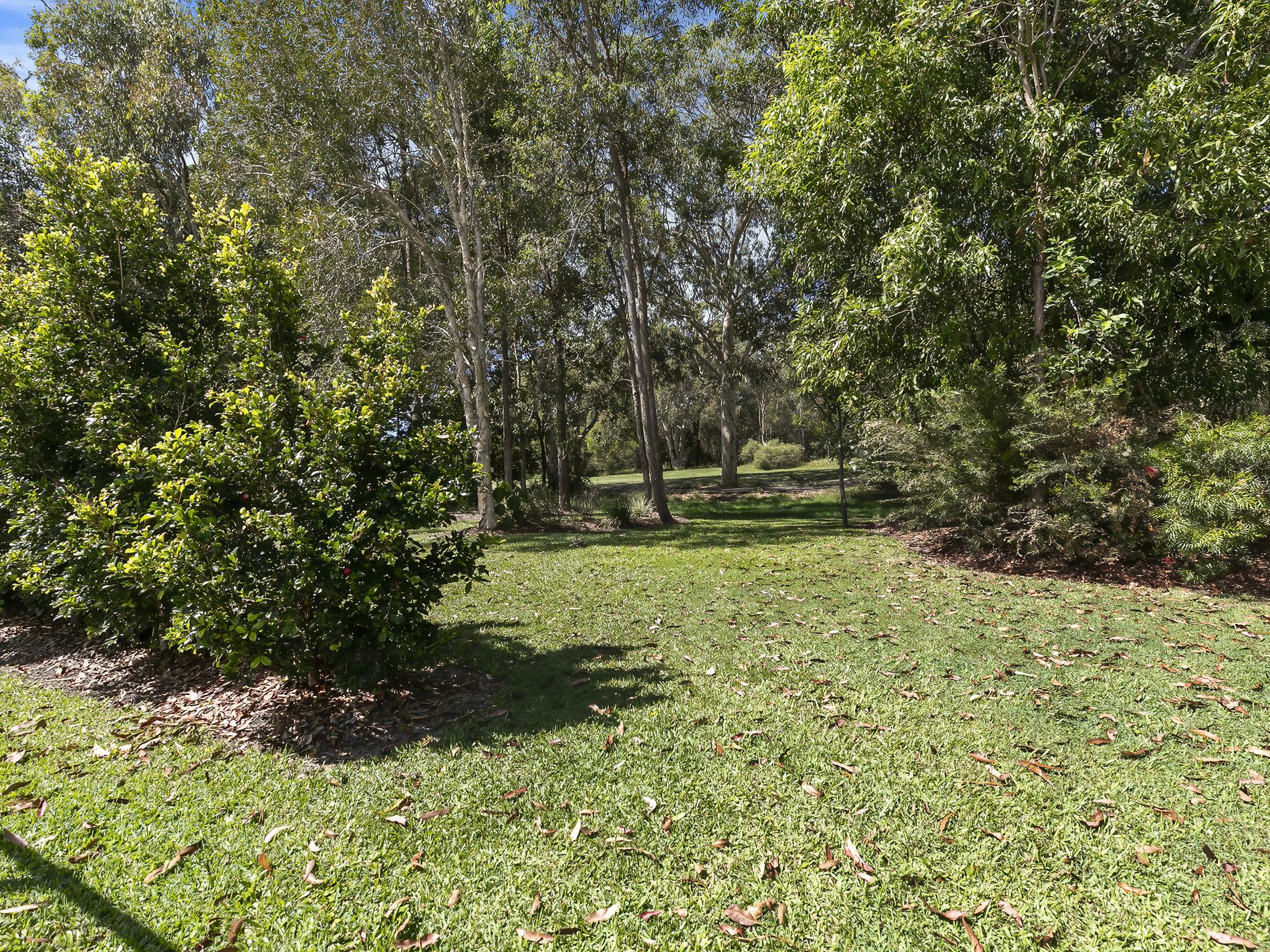 69 The Avenue, Peregian Springs
