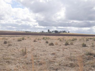 337 Kumbia Minmore Road, Kingaroy
