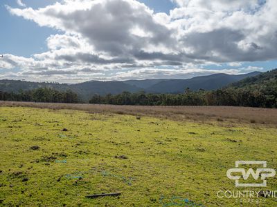 13 Bluff River Road, Tenterfield