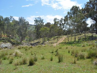 Lot 2 Bortolot Road, Wodonga