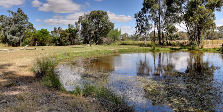 39 Branjee Road, Euroa