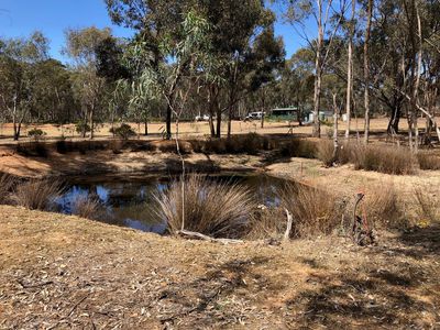 21 Godfrey Street, Wedderburn