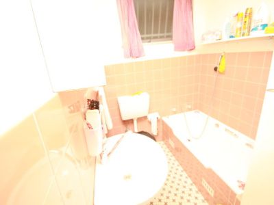 4 / 66 Denman Avnue, Wiley Park