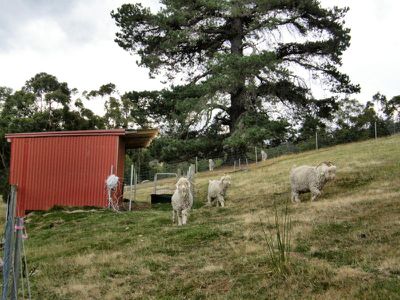 42 Sunday Hill, Petcheys Bay
