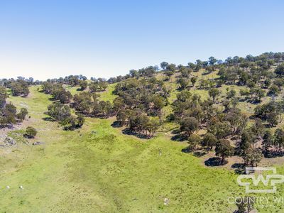 Lot 11, Ten Mile Rd, Deepwater