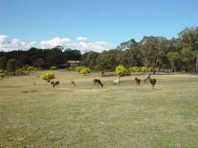 25 Red Hill Road, Stannum