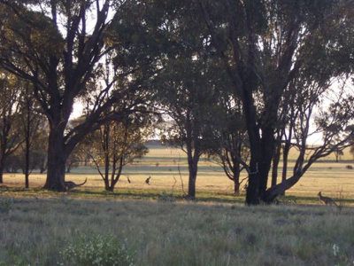 140 Channel Inlet Road, Murchison