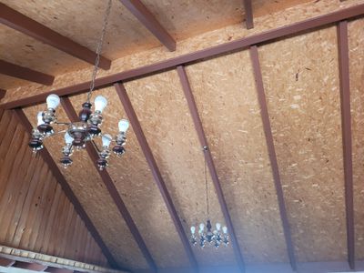 32 WILLOUGHBY STREET, Willows