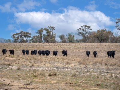 Lot Plain View Aggregation, 916 Emmaville Road, Glen Innes
