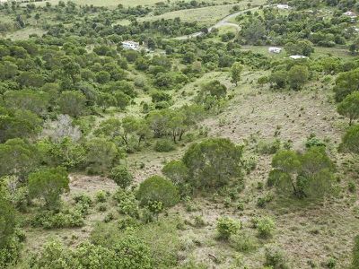 39 Annette Road, Lowood