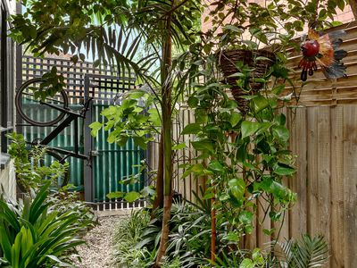 3 / 15 Mitchell Street, St Kilda