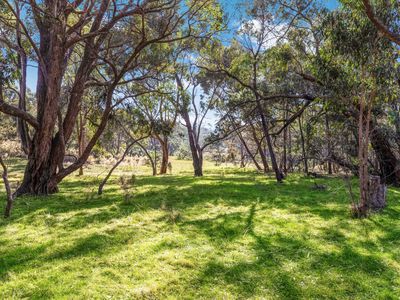 195 Majors Line Road, Tooborac