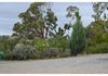 348 Carbine Road, Forest Reefs