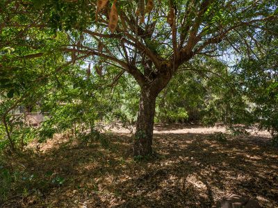 16 Moseley Street, Port Hedland