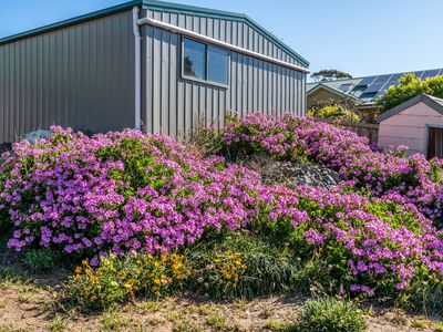 7 Cootamundra Court, Dodges Ferry