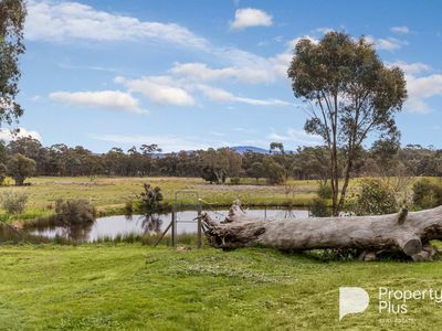 403 Ottreys Scrub Road, Walmer