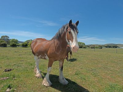23 Orielton Road, Orielton